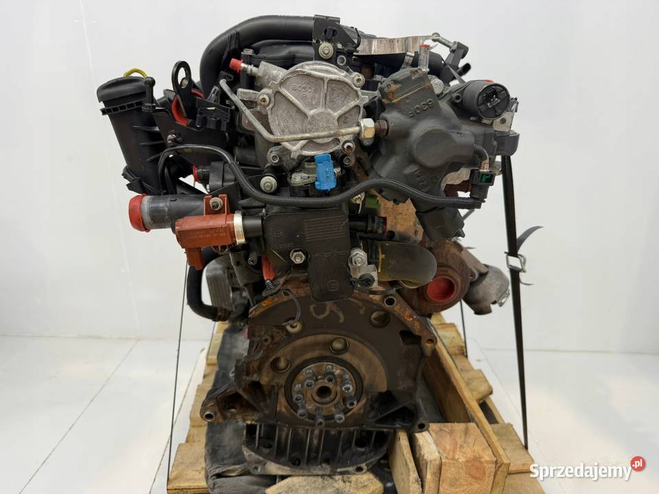 SILNIK G6DA Ford C C 20 TDCI 136 G6DB G6DD G6DG Silniki kompletne Chełm