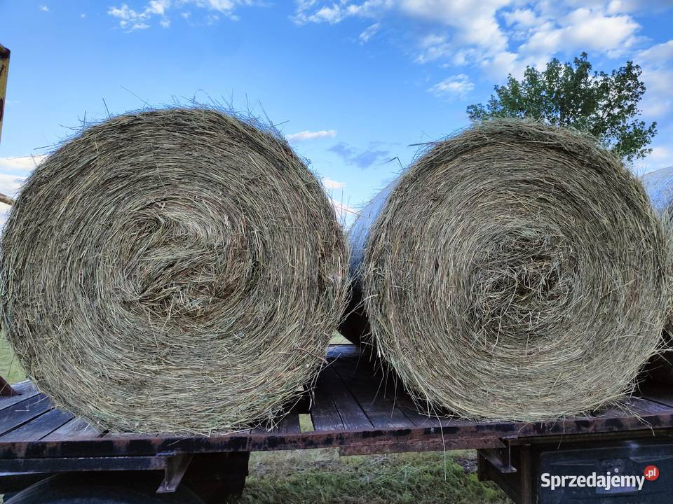Siano 2025 rozmiar 120x120 Trawy, słoma świętokrzyskie Pińczów