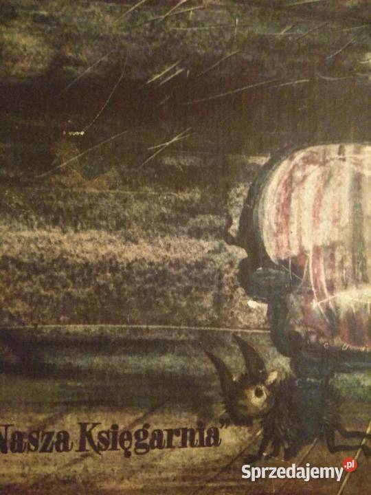 Unikatowe książki dziecięce prezenty księgarnie Warszawa