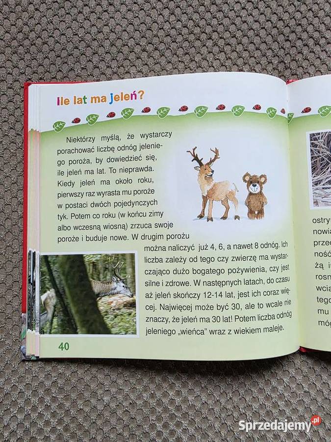 seria Zapytaj Misia o ZWIERZĘTA