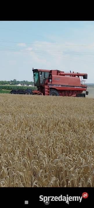 Kombajn zbożowy rotorowy Case 1640 heder 43 m Rejowiec Fabryczny sprzedam