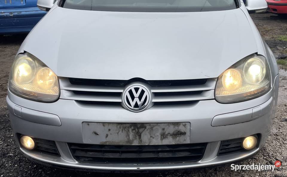 Vw Golf V 16 FSI BLP HBM LA7W Na Części Rok produkcji 2004 Piotrków Trybunalski