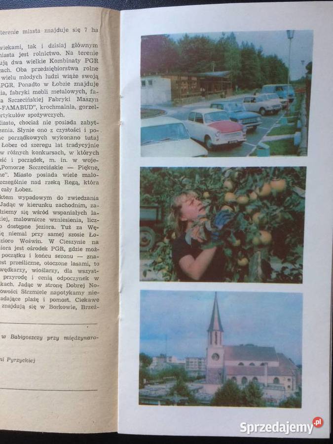 266 Szczecińskie Śródlądzie Szczecin