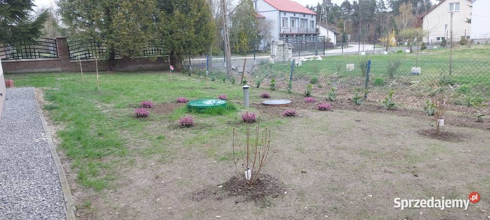 Usługi Ogrodnicze Koszenie trawników