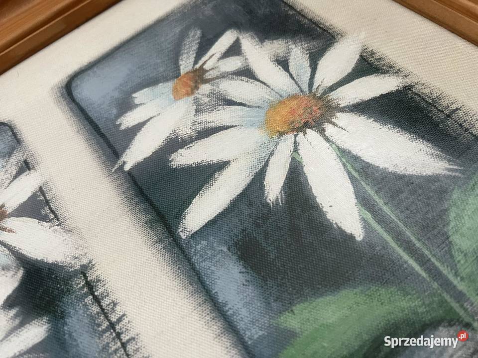 Obraz ze stokrotkami w drewnianej ramce Jasło