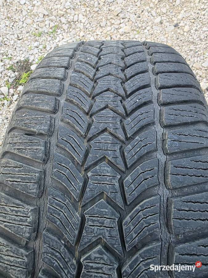Dębica frightened hp2 22545r17 225 Końskie