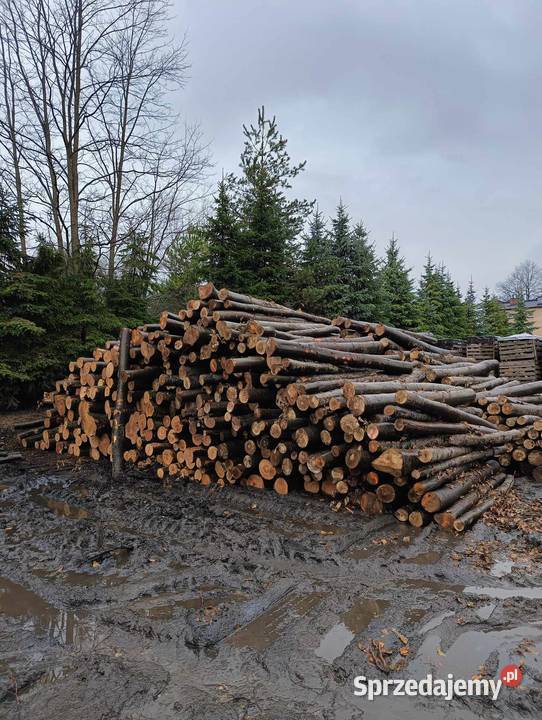 Drewno w wałkach S2A 250 Buk Dąb Brzoza sprzedam