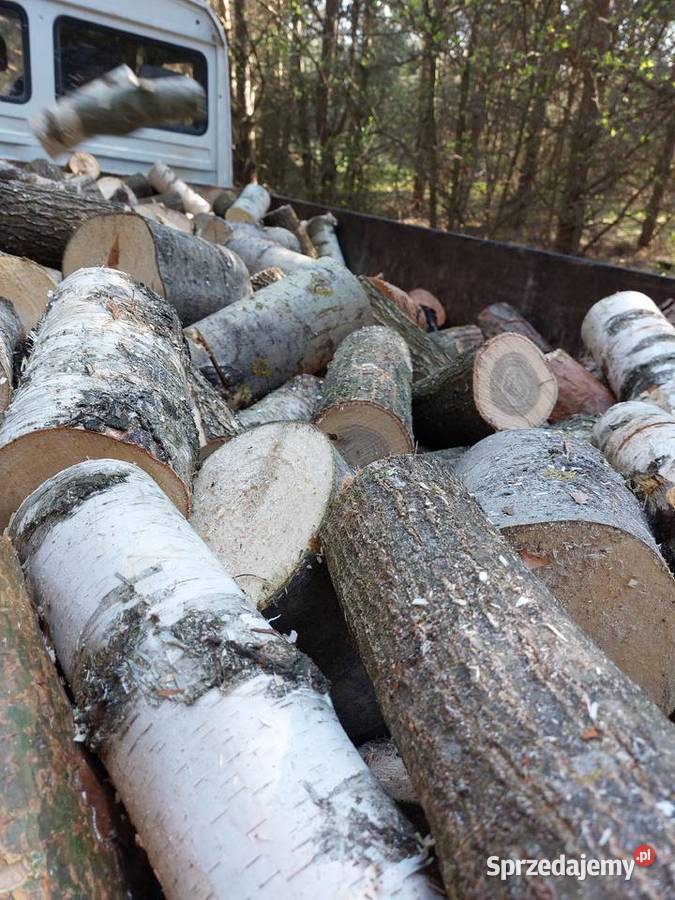 Drewno opalowe świętokrzyskie Końskie