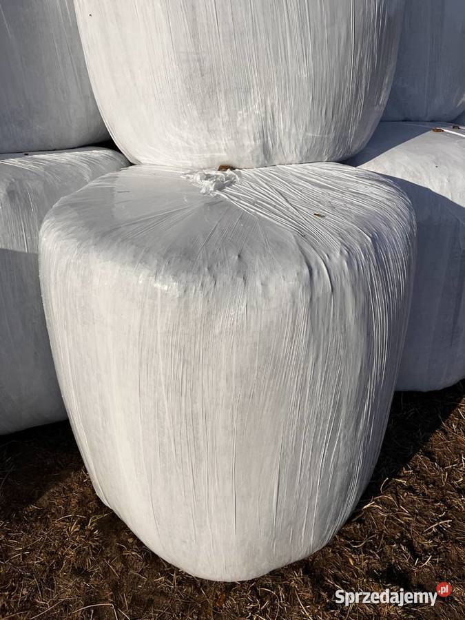 Sianokiszonka z lucerny 2025 Trawy, słoma Lipno