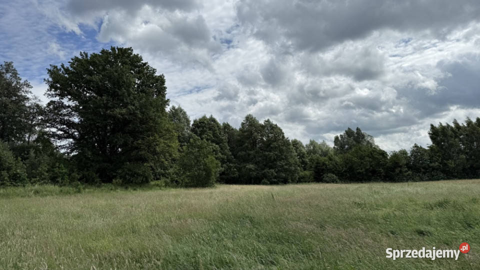 Działka pod zabudowę jednorodzinną w okolicy Nowa Wieś Ełcka