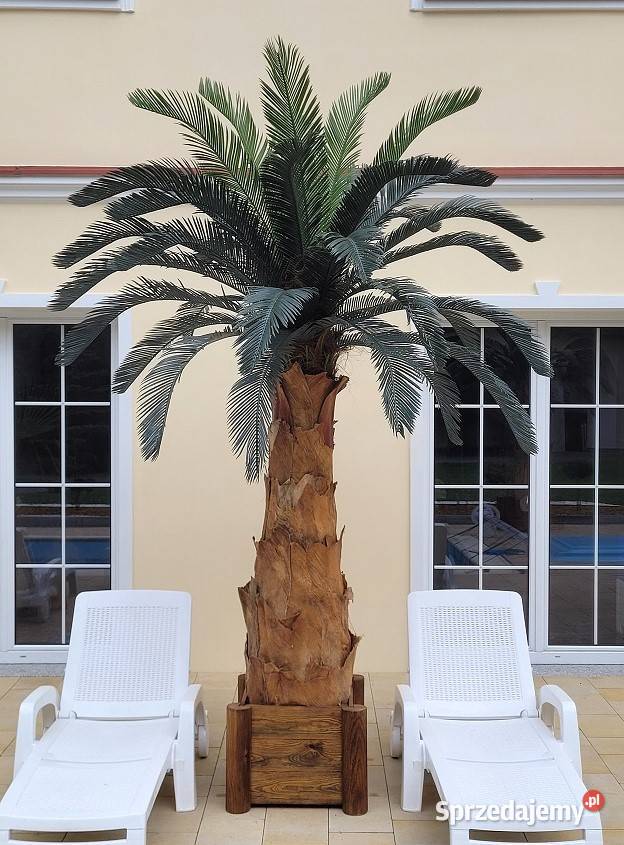 Palma Cykas 3m całoroczna sztuczne drzewka kwiaty palmy