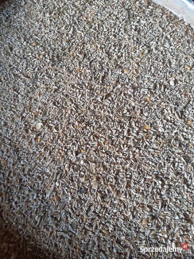 Pasza Śróta Mieszanka zbóż kuru brojlery inne Bielany