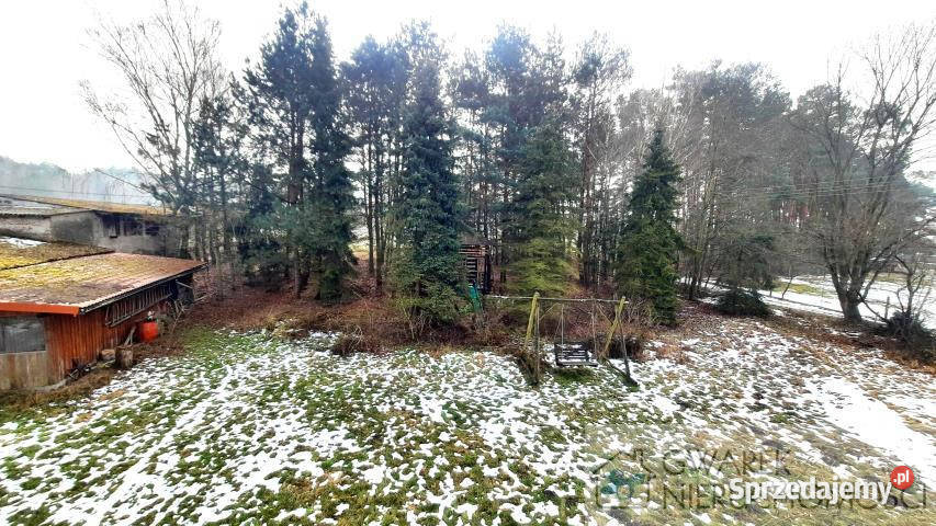 Dom Kochlew 290m2 290m2 Nieruchomości