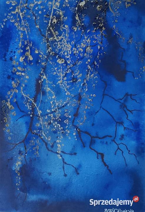 Akwarela Akwarelka Obraz pt Tajemniczy Ogród warmińsko-mazurskie sprzedam