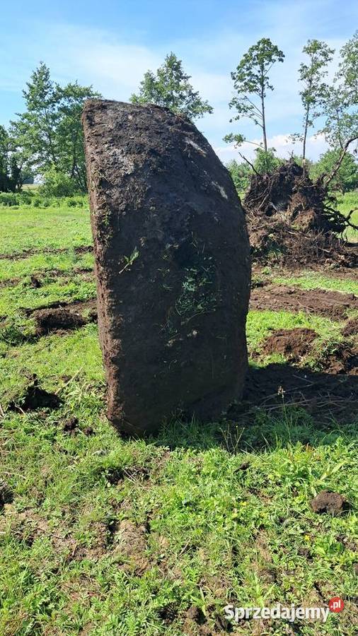 Kamień olbrzym pomnik ozdobny płyta kamienna Płock sprzedam