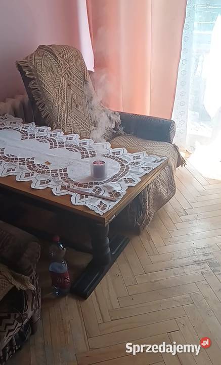 Dezynsekcja Fumigacja Włocławek usługi