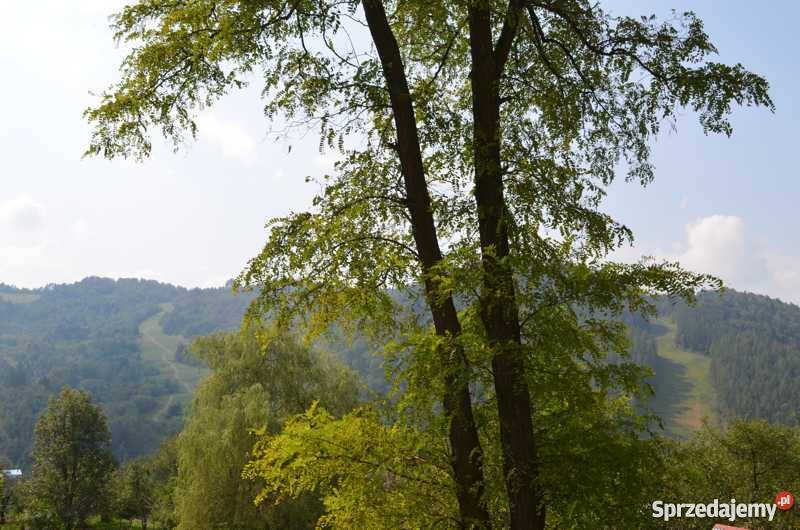 MIESZKANIE Mieszkania małopolskie