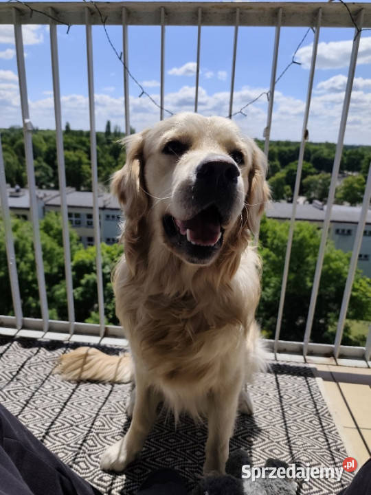 Przestronne 4 pokoje w Zabrzu idealne rodziny