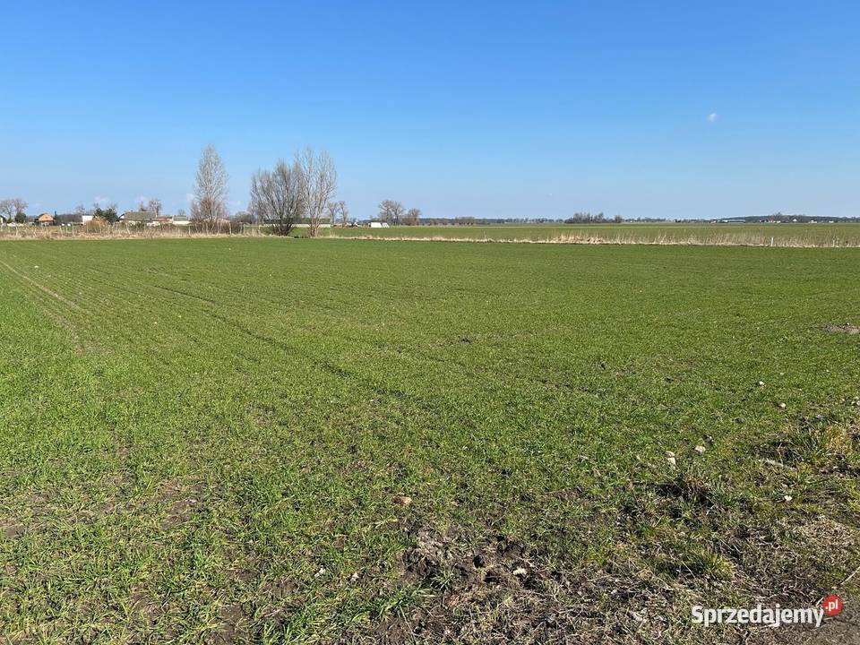 Działka budowlana 944 m2 woda prąd gaz 944m2 Drużyń sprzedam