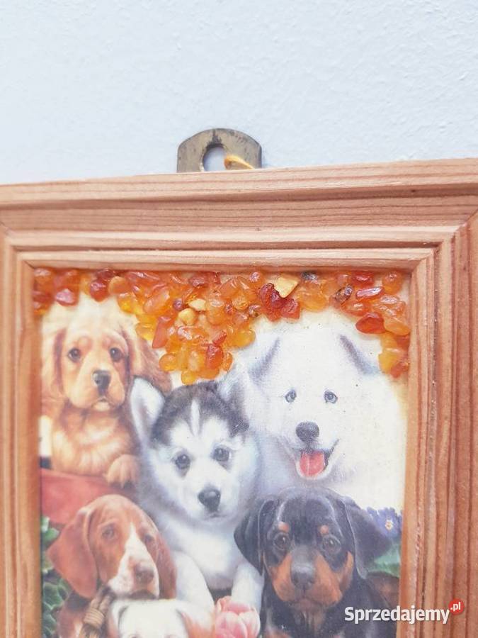 Ozdobny obrazek z bursztynkami Dąbrowa Górnicza sprzedam