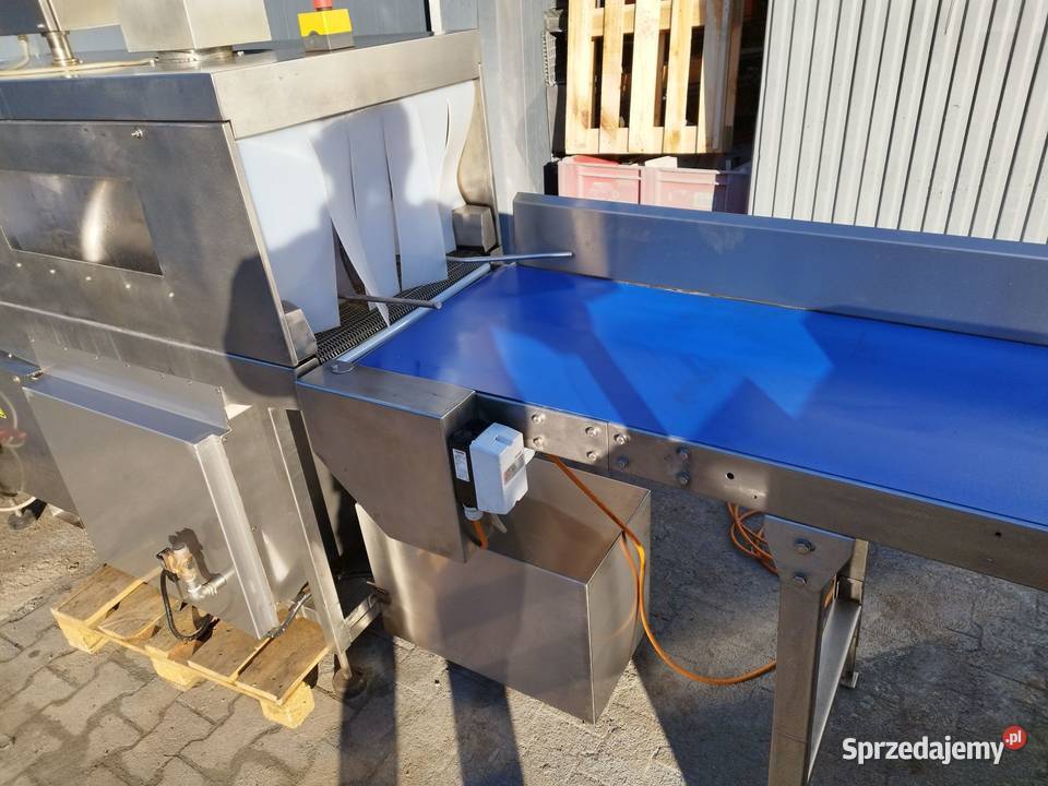 Przenośnik taśmowy nierdzewny Produkcja sprzedam