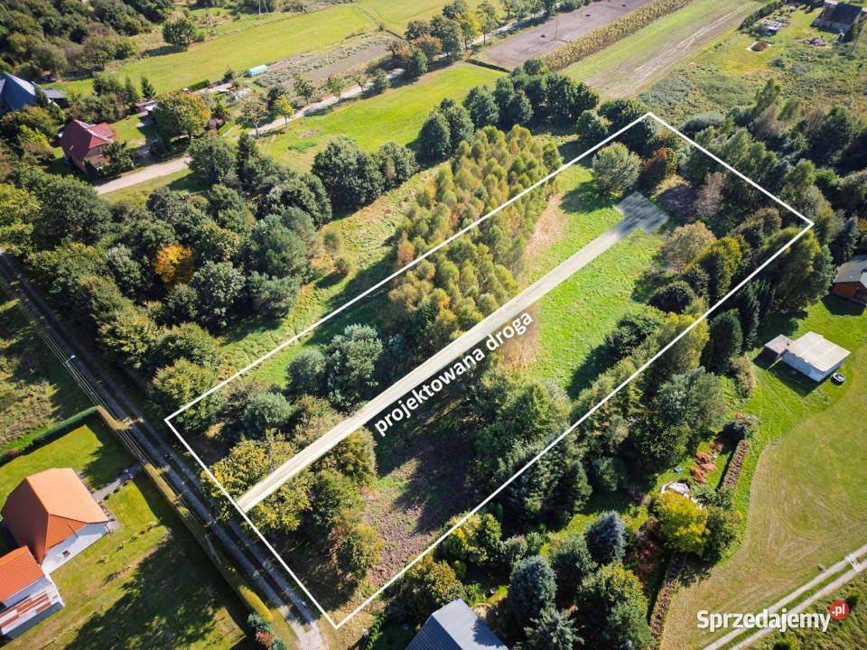 Działka budowlana z laskiem Darłowo