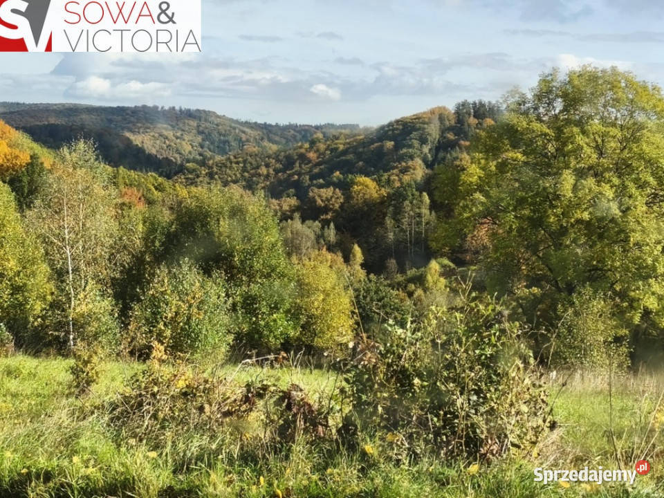 Kameralne miejsce z pięknym widokiem Niedźwiedzica