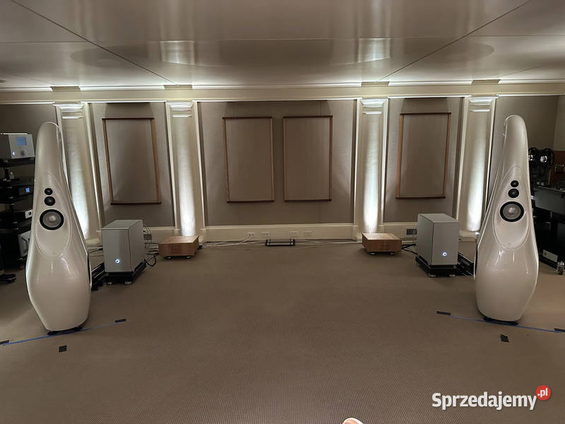 For Sale Vivid Audio G1 Spirit Loudspeakers in skrzynie basowe i tuby Głośniki warmińsko-mazurskie Lidzbark-Nadleśnictwo