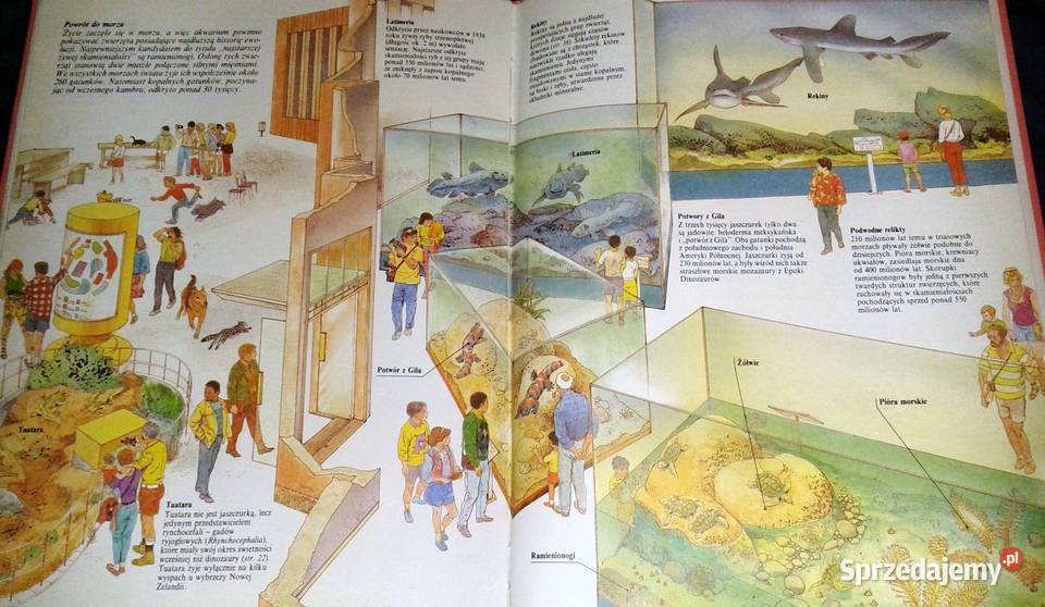 Życie prehistoryczne Steve Parker Chełm sprzedam