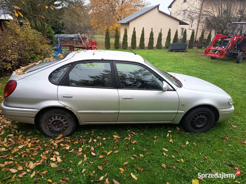 Corolla E11 Rzeszów