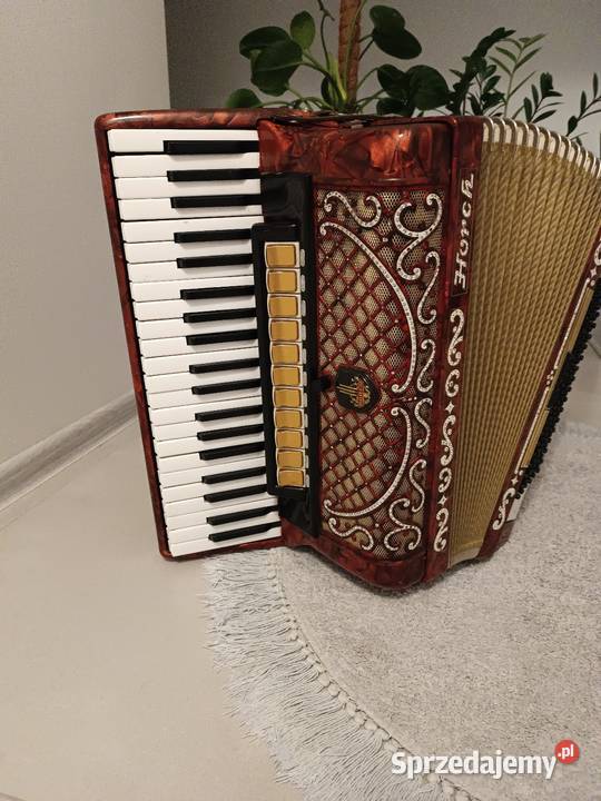 Akordeon horch 120 Dębica