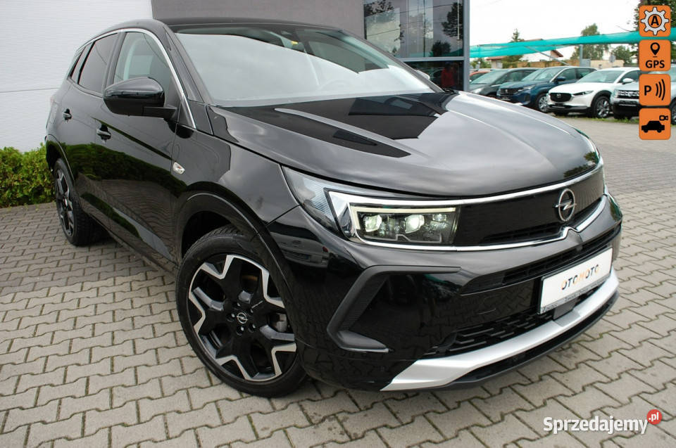 Opel Grandland 1499cm3 Opel Dębica