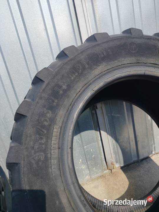 Opony 3155516R Mierzyn