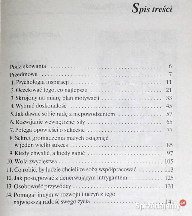 Sztuka motywacji Alan Loy McGinnis