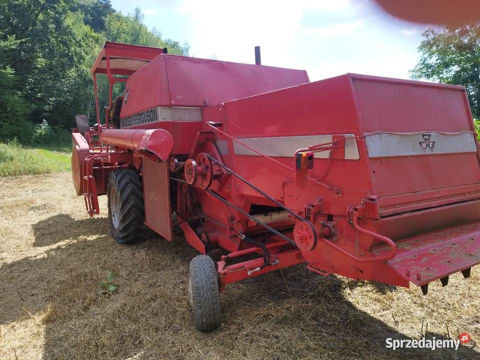 Massey Ferguson 487 Special nieuszkodzony Wróblowice