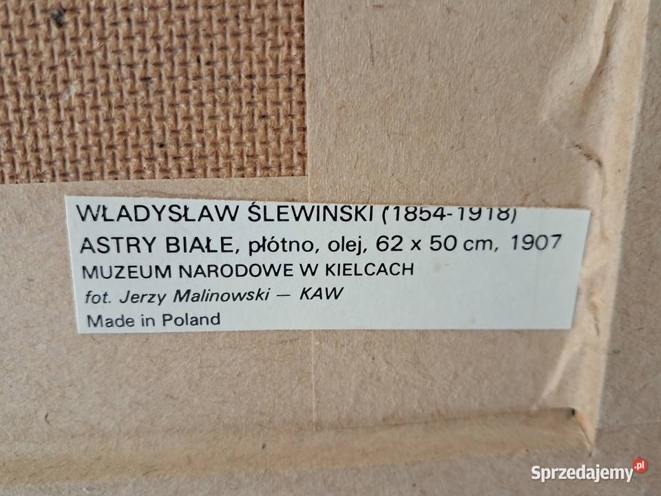 Obraz Astry białe WŚlewiński do sprzedania Kraków