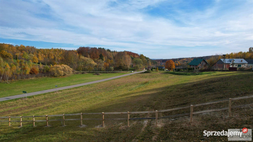 sprzedaży działki TeodorówkaKolonia 2644m2 kanalizacja Sprzedaż Teodorówka-Kolonia