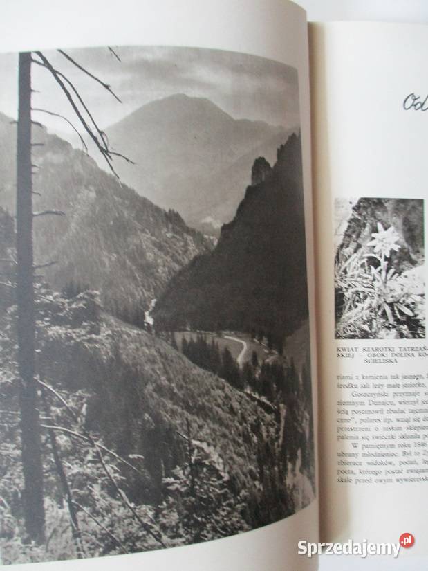 Z biegiem Dunajca góry Tatry Dunajec Łódź