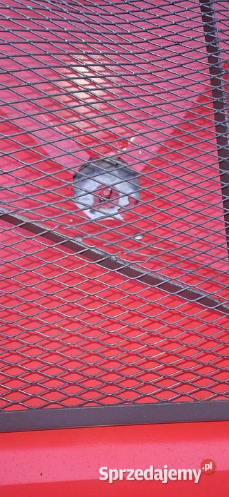 Rozsiewacz Kwerneland Vicon Rotaflow XL sprzedam