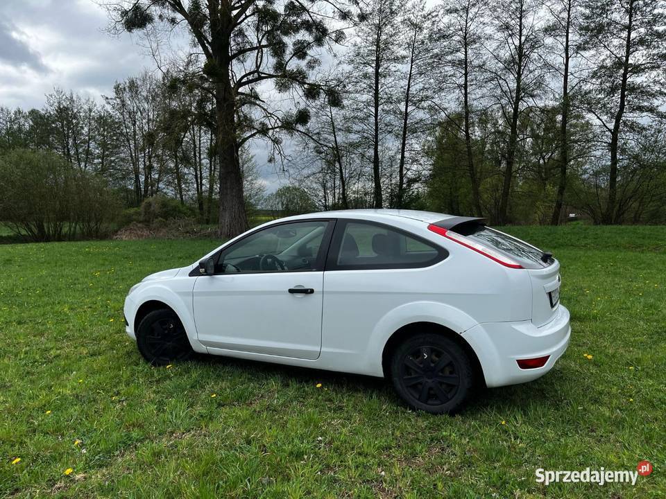 FORD FOCUS Skwierzyna