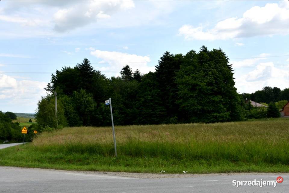Działka budowlana 42a w Dylągówce Sprzedaż sprzedam