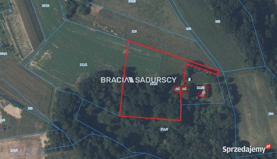 Grunt 6004m2 Dobczyce Sprzedaż małopolskie