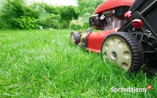 Koszenie trawy koszenie zarośli nieużytków Września