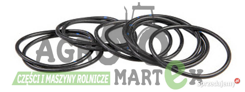 83949068 1447562 971902 87134S95 73176114 ORING Wichrów