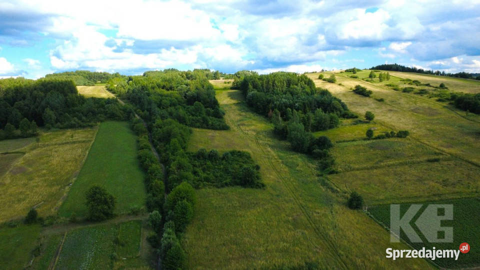 Działka Czaszyn 11684m2