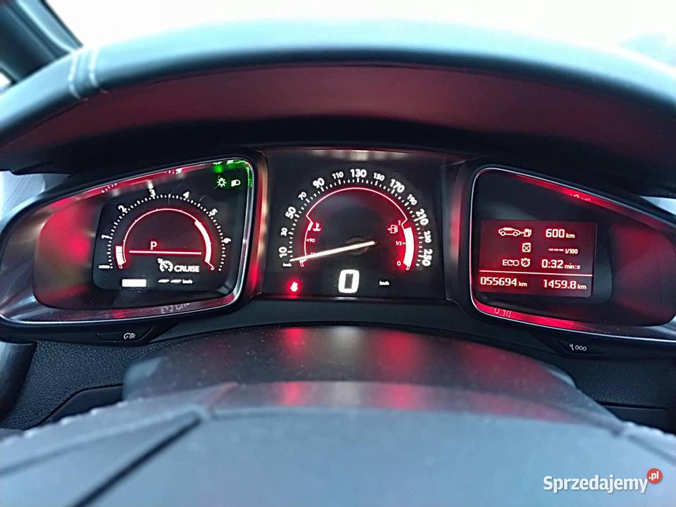 DS5 kupiony w polskim salonie bezwypadkowy Niewodnica Nargilewska