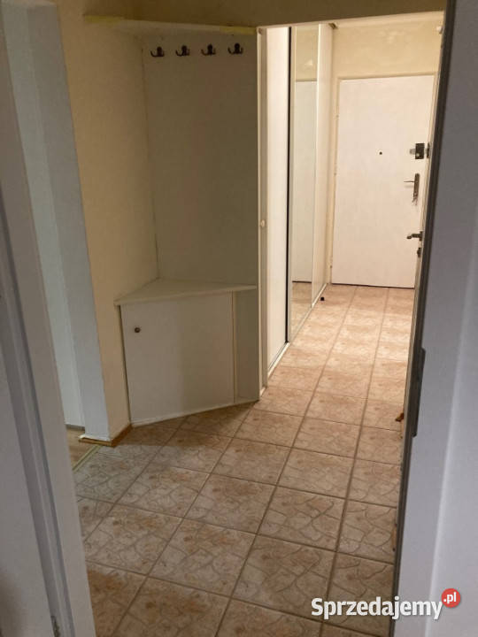 Sprzedam mieszkanie Płock sprzedam