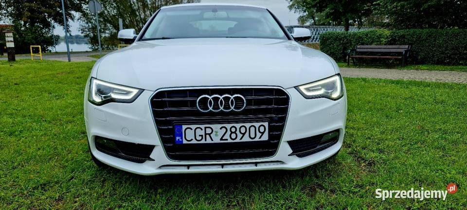 Sportback 20 150 Grudzień 2013r Grudziądz