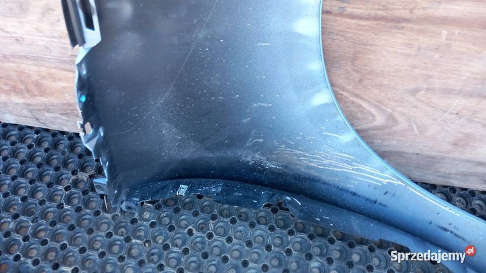 RENAULT SCENIC III BŁOTNIK PRZÓD LEWY TERPA Zbierkowo