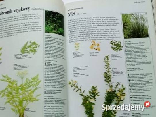 Wielka księga ziół Domowy poradnik medyczny Łódź sprzedam